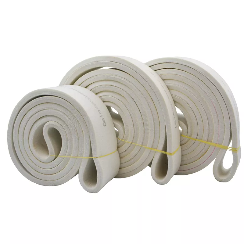 Conveyor belt made of Polyester