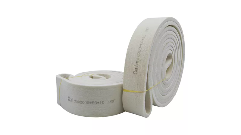 Polyester Conveyor Belt