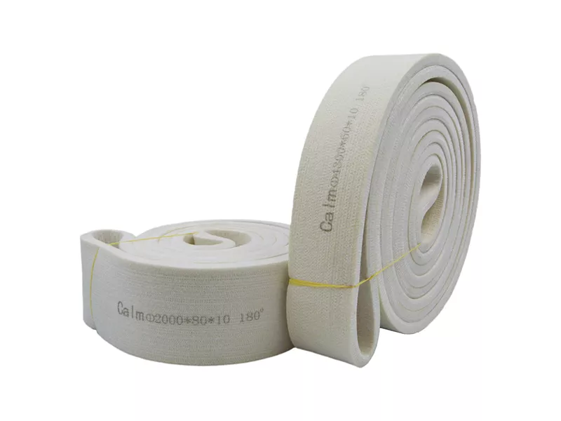 Polyester Conveyor Belt